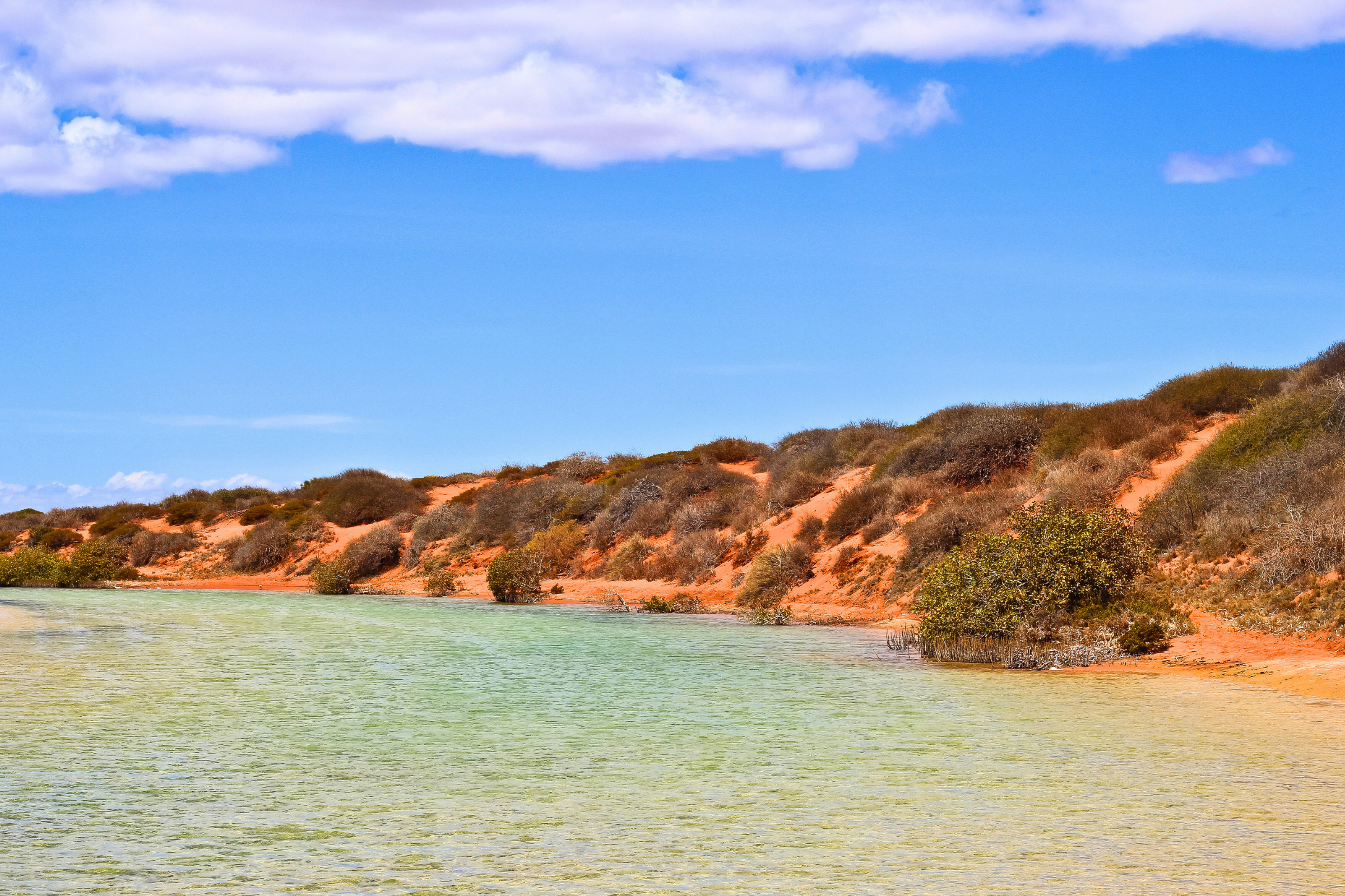 denham, western australia.webp